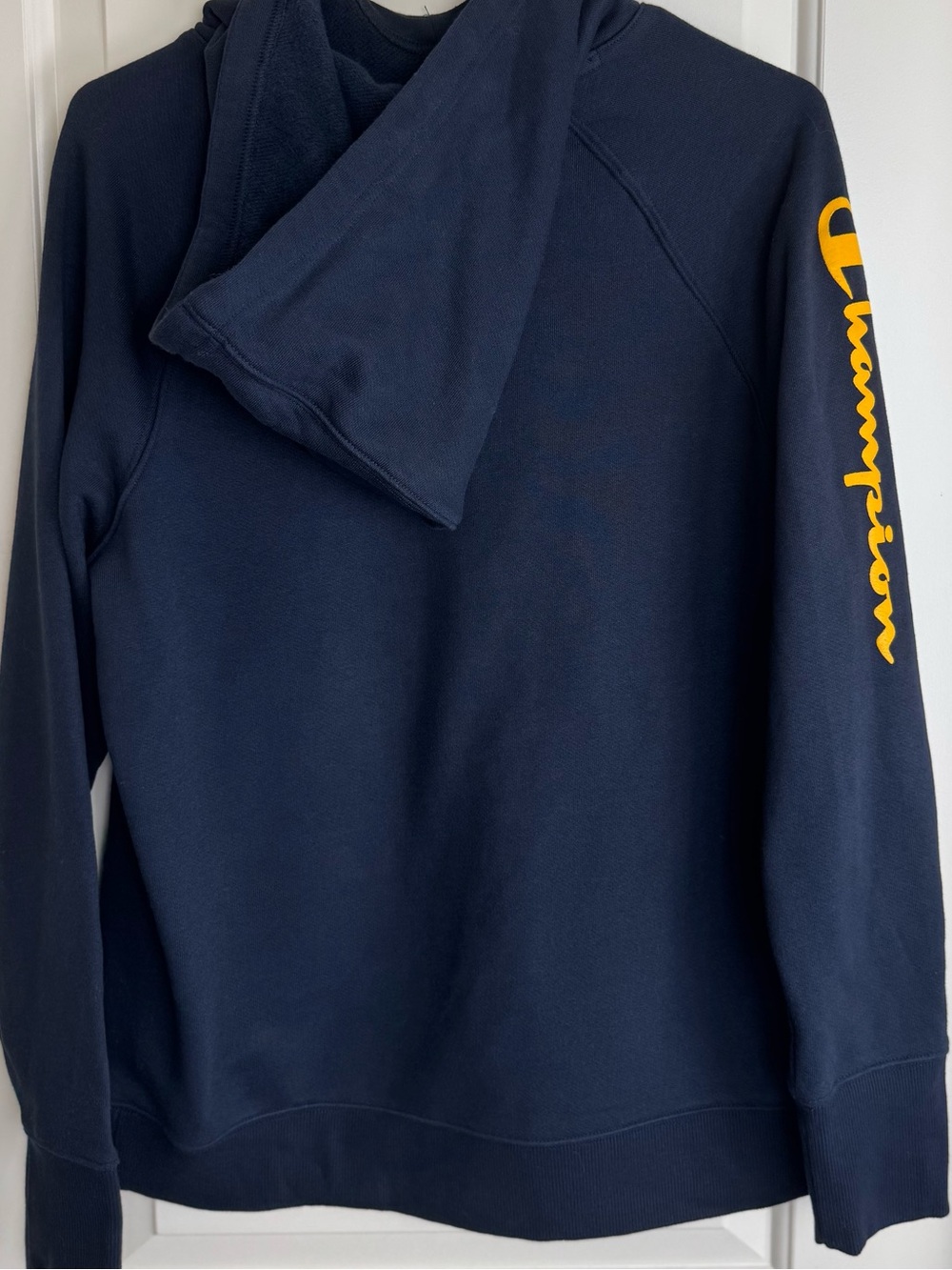 NWT Champion Nashville Predators NHL Guitar Pick Logo Hoodie Women’s L - Picture 2 of 7